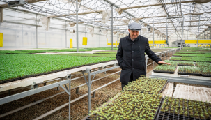 Başkan Soyer'den Dikili, Bergama, Kınık programı