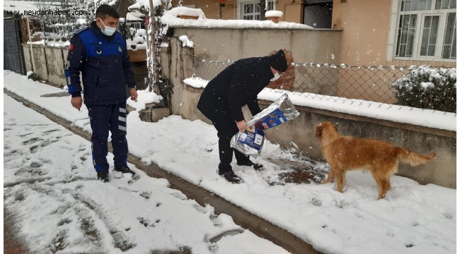 Başkan Yüksel Sokak Hayvanlarını Elleriyle Besledi