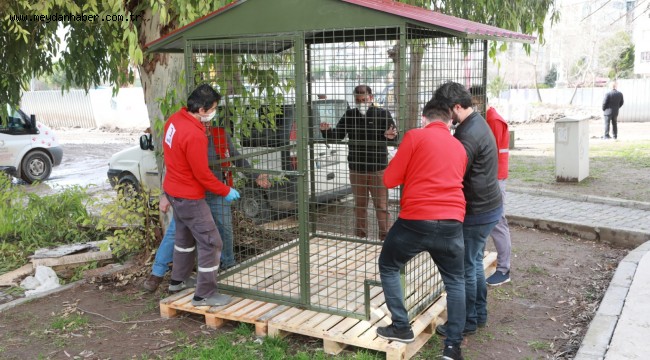 BAYRAKLI BELEDİYESİNDEN CAN DOSTLARA YENi YUVA