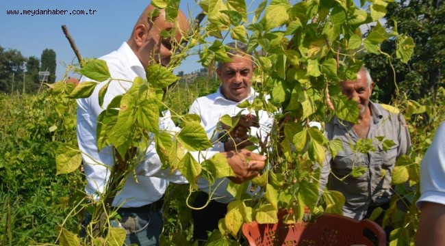 BEYDAĞ HALIKÖY MAHALLESİ OVACIK MEVKİİNE SICAK ASFALT