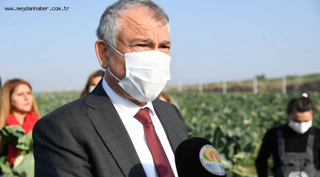 Büyükşehir ve ILO, dezavantajlı kadınlar için iş birliği yapıyor