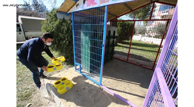 EFES SELÇUK BELEDİYESİ'NDEN KEDİLER GÜNÜ'NDE CAN DOSTLARINA KEDİ EVİ