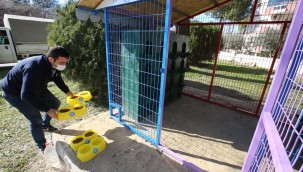 EFES SELÇUK BELEDİYESİ'NDEN KEDİLER GÜNÜ'NDE CAN DOSTLARINA KEDİ EVİ