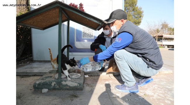 Gaziemir'de can dostlar emin ellerde