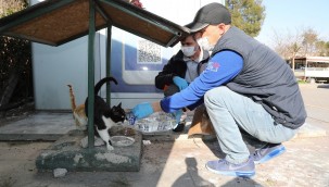 Gaziemir'de can dostlar emin ellerde