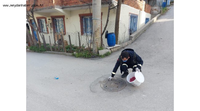 Haşerelere Karşı İlaçlama