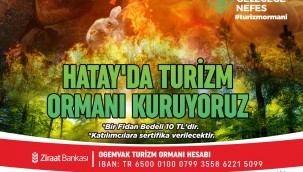 HATAY'DA TURİZM ORMANI KURUYORUZ, HEDEF 100 BİN AĞAÇ!