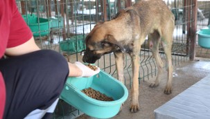 HBB'DEN MİNİK DOSTLARA YENİ BAKIM ALANI