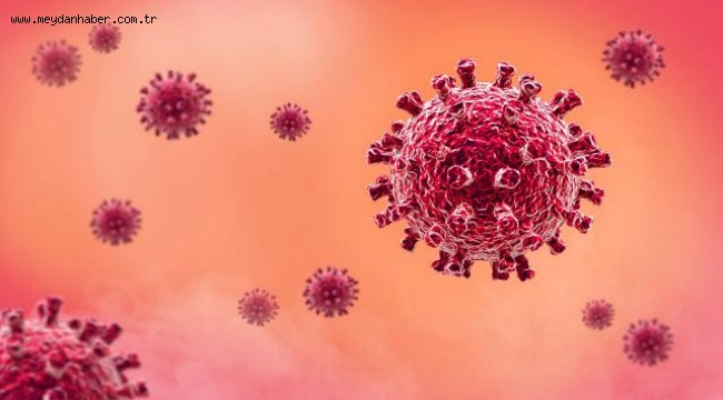 İngiltere'de görülen mutasyonlu virüsün tüm dünyaya yayılacağı düşünülüyor