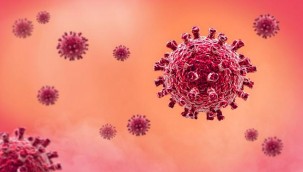 İngiltere'de görülen mutasyonlu virüsün tüm dünyaya yayılacağı düşünülüyor