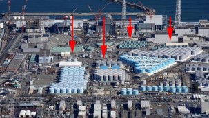 Japonya'daki 7,3'lük depremden nükleer santral de etkilendi