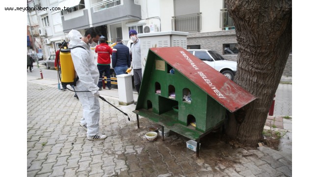 Karşıyaka Belediyesi'nden can dostlar için temizlik çalışması