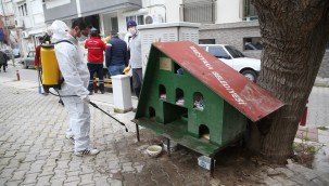 Karşıyaka Belediyesi'nden can dostlar için temizlik çalışması