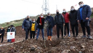 Kurs Ücretleri Orman Olacak