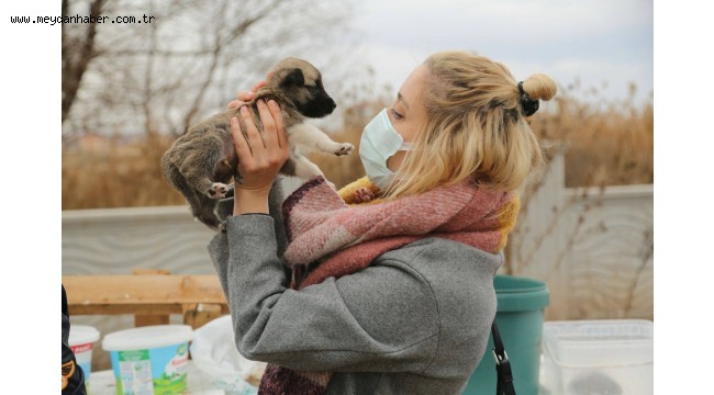 Odunpazarı'ndan Yerel Hayvan Koruma Görevlisi eğitimi