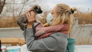 Odunpazarı'ndan Yerel Hayvan Koruma Görevlisi eğitimi