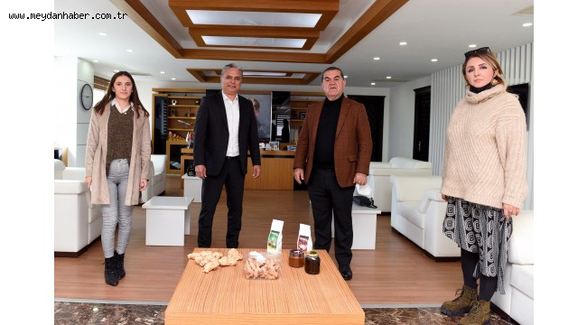 Şifa kaynağı zencefil üretimi başlıyor