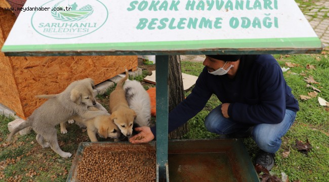 Sokak Hayvanları Aç Kalmasın Diye