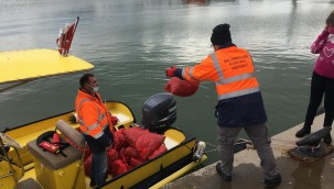  700 Kg Akivades Denize İade Edildi