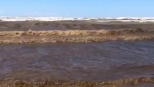 Adana'da deniz, gemi atıkları nedeniyle siyaha boyandı