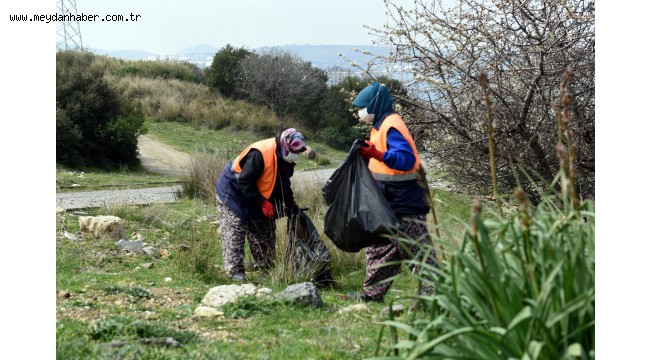 Aliağa Belediyesi'nden Orman Temizliği
