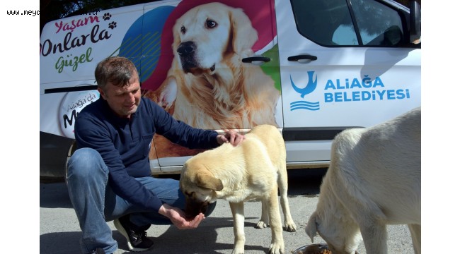 Aliağa Belediyesi Sevimli Dostlar İçin Görev Başında