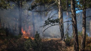 Antalya'da yakalanan PKK'lı ormanlık alanda yangın çıkardığını itiraf etti