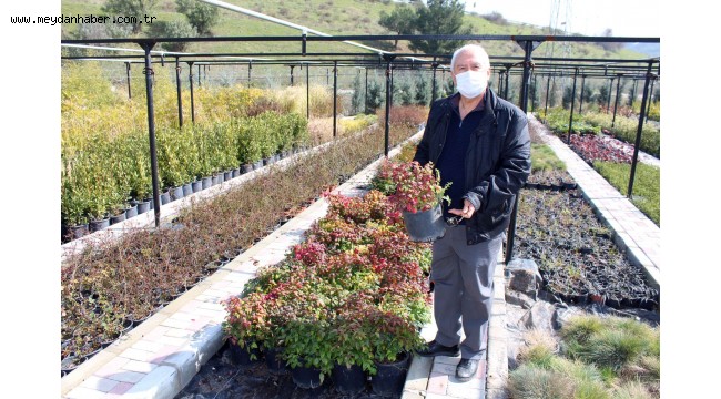 Başkan Selvitopu yeni fidanlığı inceledi