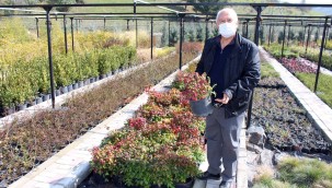 Başkan Selvitopu yeni fidanlığı inceledi