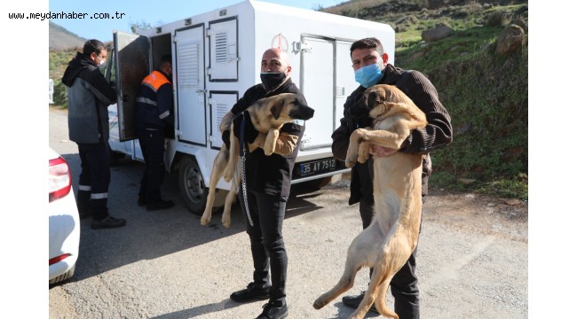 BAYRAKLI'DA HAYVANSEVERLERDEN ÖRNEK DAYANIŞMA