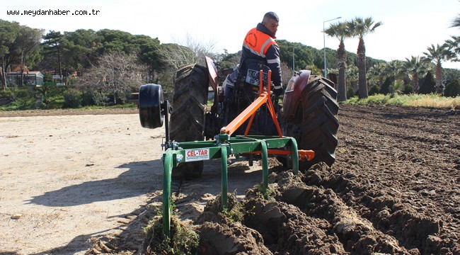 BURHANİYE PLAJLARI DÜZENLENİYOR
