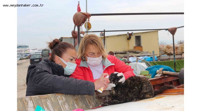 Can dostlara beslenme desteği