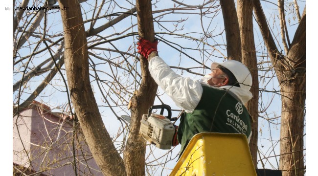 ÇANKAYA'DA MART'IN SONU BAHAR