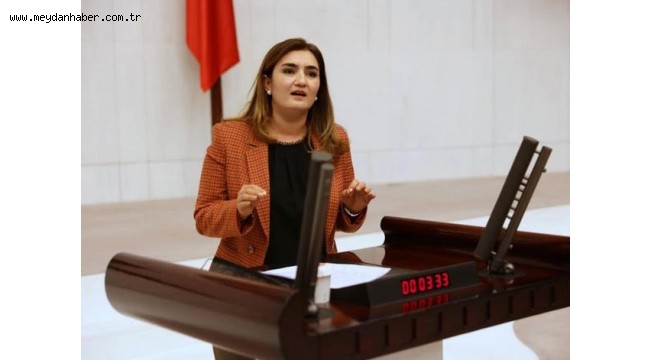 CHP İZMİR MİLLETVEKİLİ AV. SEVDA ERDAN KILIÇ'IN BASIN AÇIKLAMASI