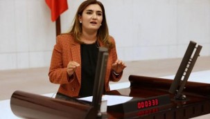 CHP İZMİR MİLLETVEKİLİ AV. SEVDA ERDAN KILIÇ'IN BASIN AÇIKLAMASI