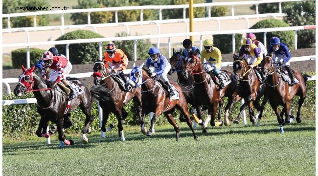 Dünya Kadınlar Günü Koşusu 6 Mart'ta yapılacak