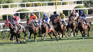 Dünya Kadınlar Günü Koşusu 6 Mart'ta yapılacak