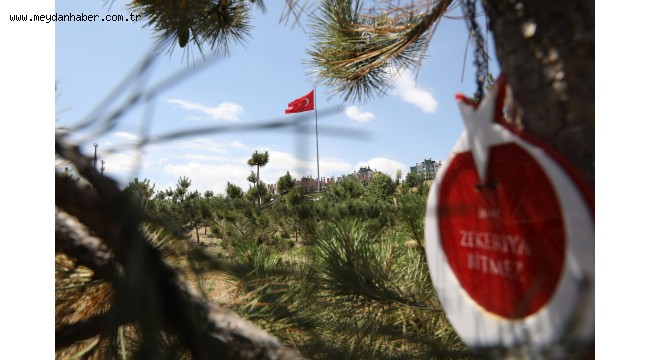 ETİMESGUT'TA YEŞİL ALAN MİKTARI 5 KAT ARTTI