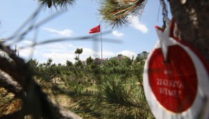 ETİMESGUT'TA YEŞİL ALAN MİKTARI 5 KAT ARTTI