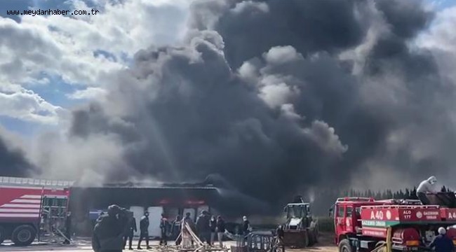 İzmir'de fidan deposunda yangın: Gökyüzü dumanla kaplandı