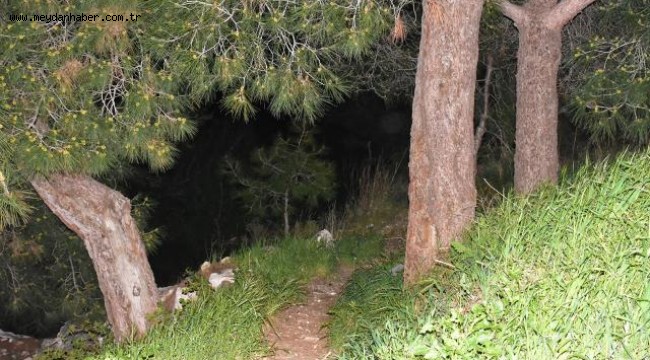 İzmir'de ormanlık alanda kafatası ve kaburga bulundu