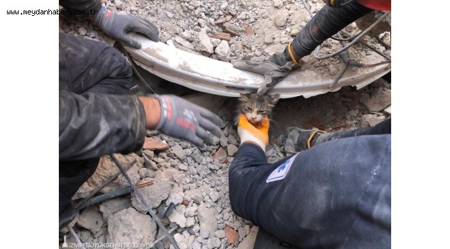 İzmir itfaiyesi 5 bin hayvan kurtardı