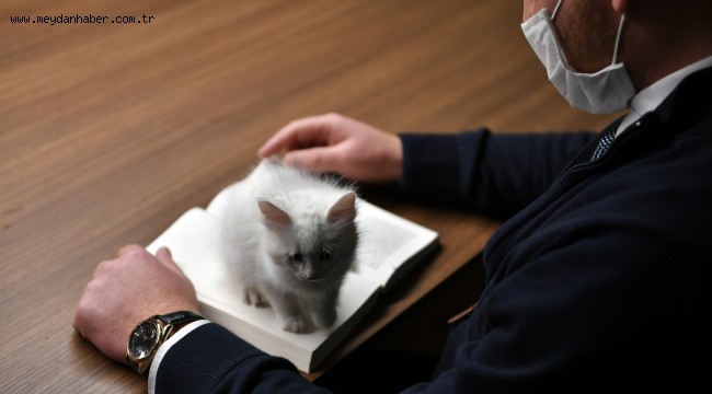 Kedili Tekke'nin Maskotları Çok Sevildi