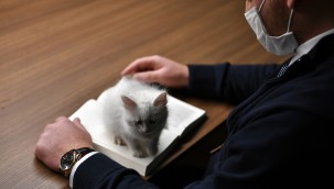 Kedili Tekke'nin Maskotları Çok Sevildi