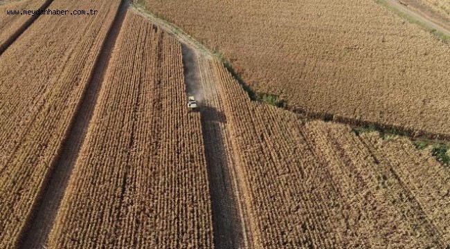 Mazot ve gübre desteği yarın hesaplara yatacak