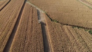 Mazot ve gübre desteği yarın hesaplara yatacak