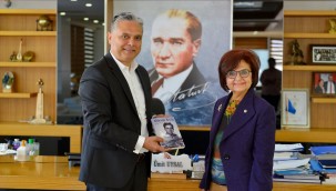 Mehendiz Bey'in hikayesi