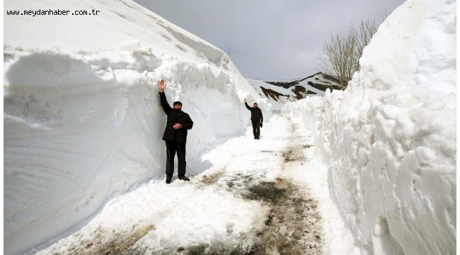 Muş'ta, 4 metre karla kaplı köy yolları açılıyor