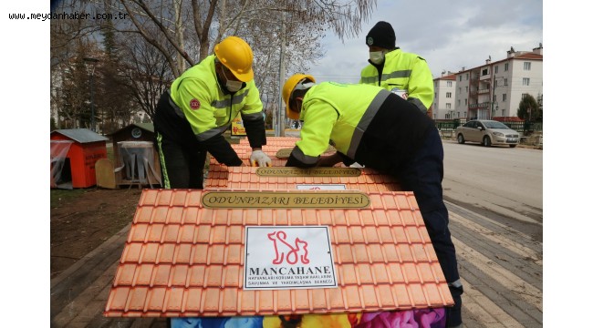 Odunpazarı Belediyesi sokak hayvanlarını unutmadı
