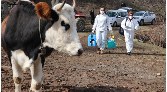 Sağlık çalışanları Şehriye ninenin Covid-19 aşısı için yollara düştü